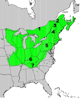 Sugar Maple Seed Origins and Range | Kevin A.Solarik